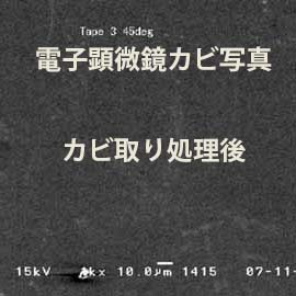 電子顕微鏡カビ取り後写真